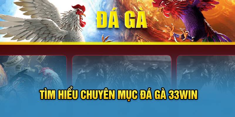 Tổng quát về sân chơi đá gà 33WIN