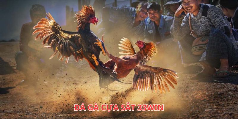 Đá Gà Cựa Sắt 33WIN - Trò Chơi Cá Cược Hấp Dẫn Hàng Đầu